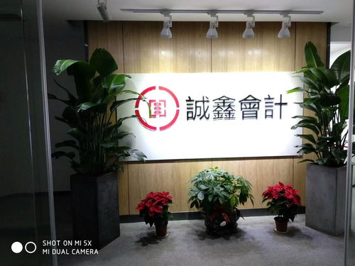 专业伙伴本土力量 湖南诚鑫会计服务集团与贺州企业服务的深度实践
